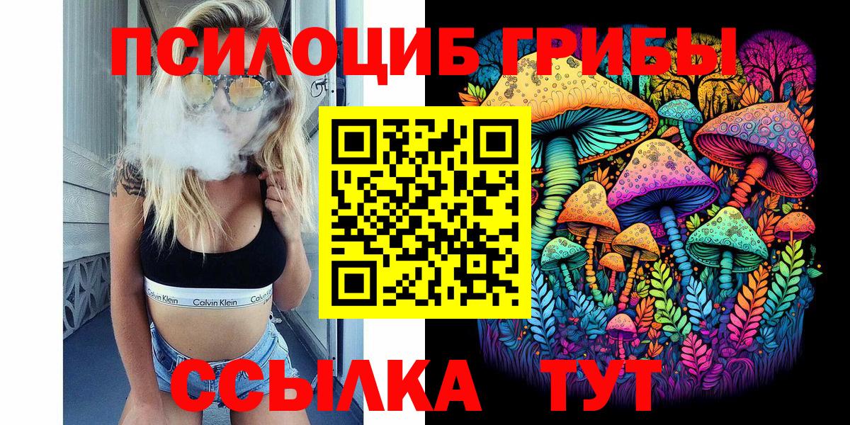 Галлюциногенные грибы Psilocybine cubensis  продажа наркотиков  Вятские Поляны  Вход с VPN 