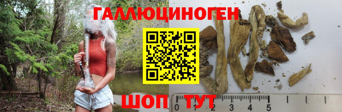 Псилоцибиновые грибы мухоморы Вятские Поляны