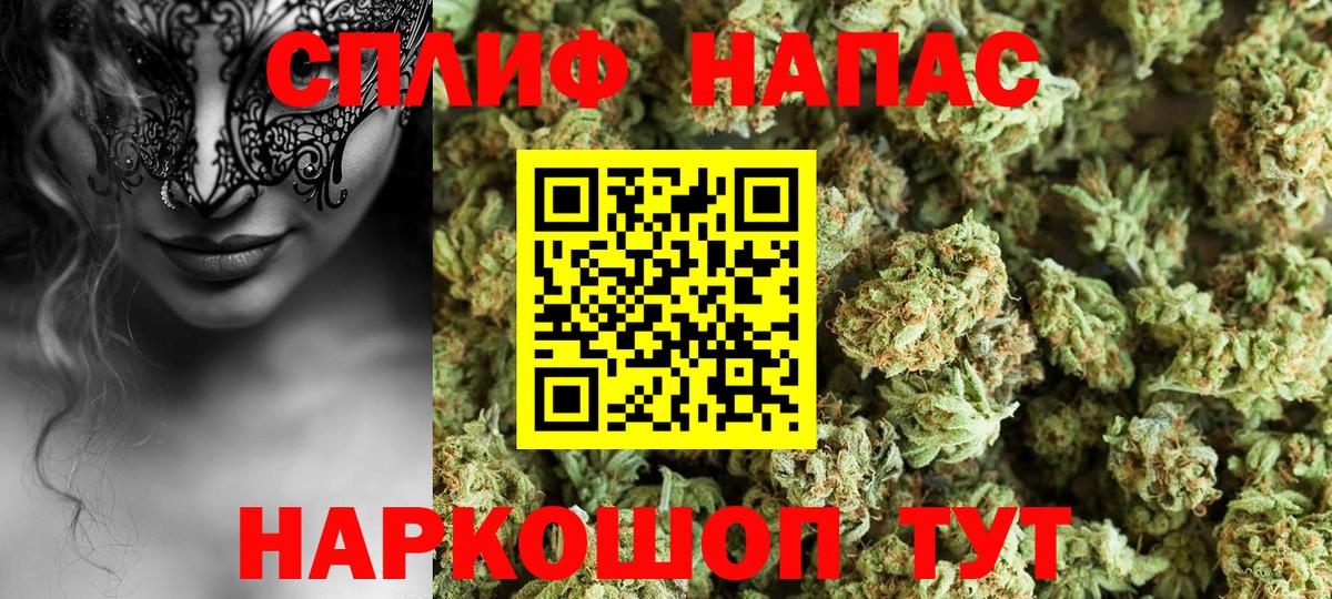 Шишки марихуана гибрид  Марихуана план  Вход с VPN  Каннабис семена  Вятские Поляны 